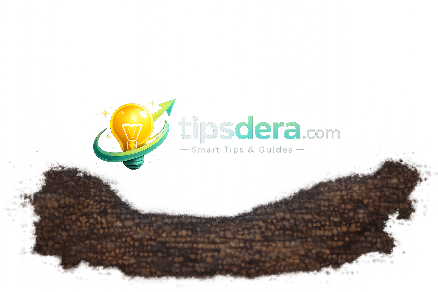 tipsdera.com