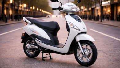 Hero Electric Optima review